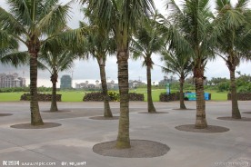 海口观澜湖