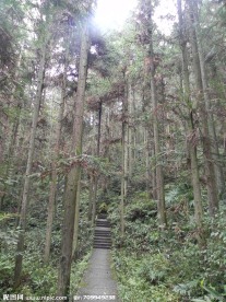 张家界国家森林公园