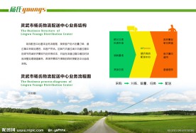 物流公司画册