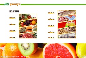 物流公司画册