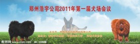 犬场会议喷绘