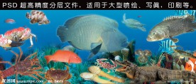 海底世界(海鲜图)