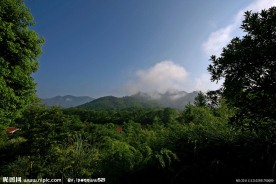 山景