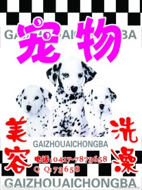 宠物店