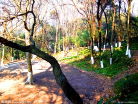 余姚龙山公园一角