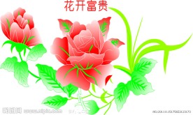 花开富贵