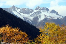 黄龙风景 雪山