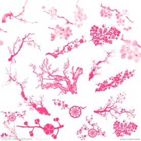 PS笔刷 梅花笔刷集合