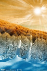 冬季雪景