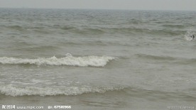 海潮