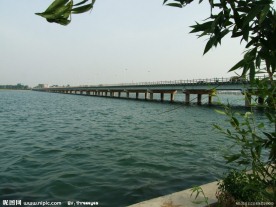 沂河大桥
