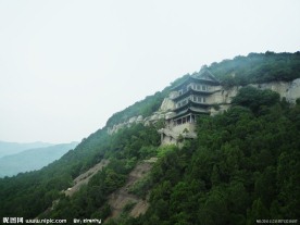 山坡远望