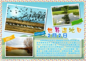 世界湿地日