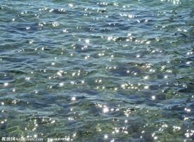 水面