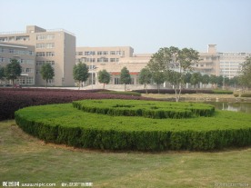 大学校园