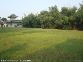 园林自然风景