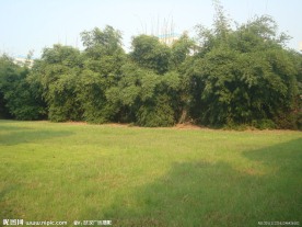园林自然风景