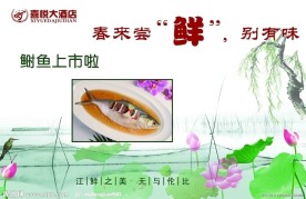江鲜鲥鱼海报
