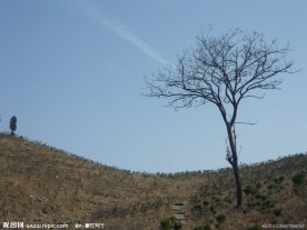 山中一角