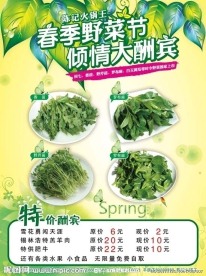 春季野菜节海报