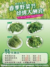 春季野菜节海报