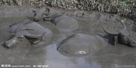 沐浴