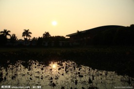 夕阳剪影