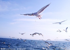 大海风光