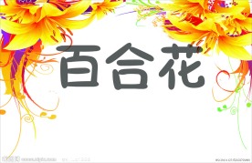 梦幻百合花