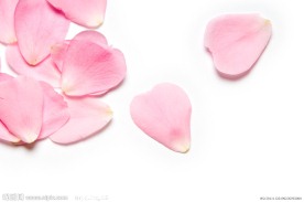 粉红花瓣