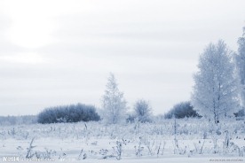 冬季雪景