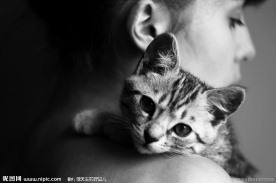 小猫