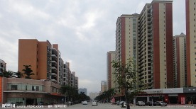 新村的街道