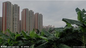 新村的楼市
