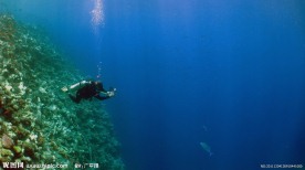 美丽海底世界