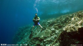 美丽海底世界