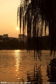 宁波月湖夕阳