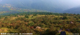 武夷山顶风景