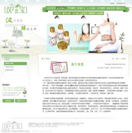 中文网站模板