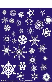 雪花大全