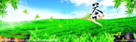 茶园风光
