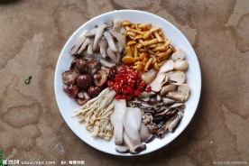 蘑菇