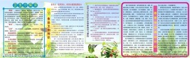 饮食知道板报