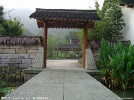 龙井问茶