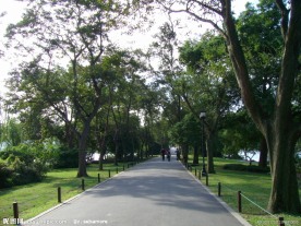苏堤春晓 林道