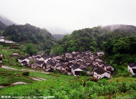 大山富硒村