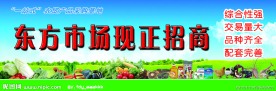 农贸市场招商海报