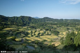 梯田风景
