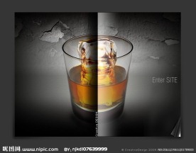 网站flash设计