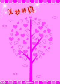 美梦成真